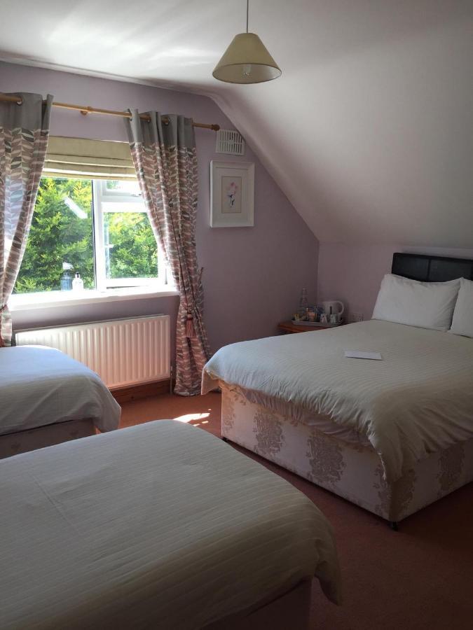 Padua Guest Accommodation Rosslare Rosslare Harbour Esterno foto