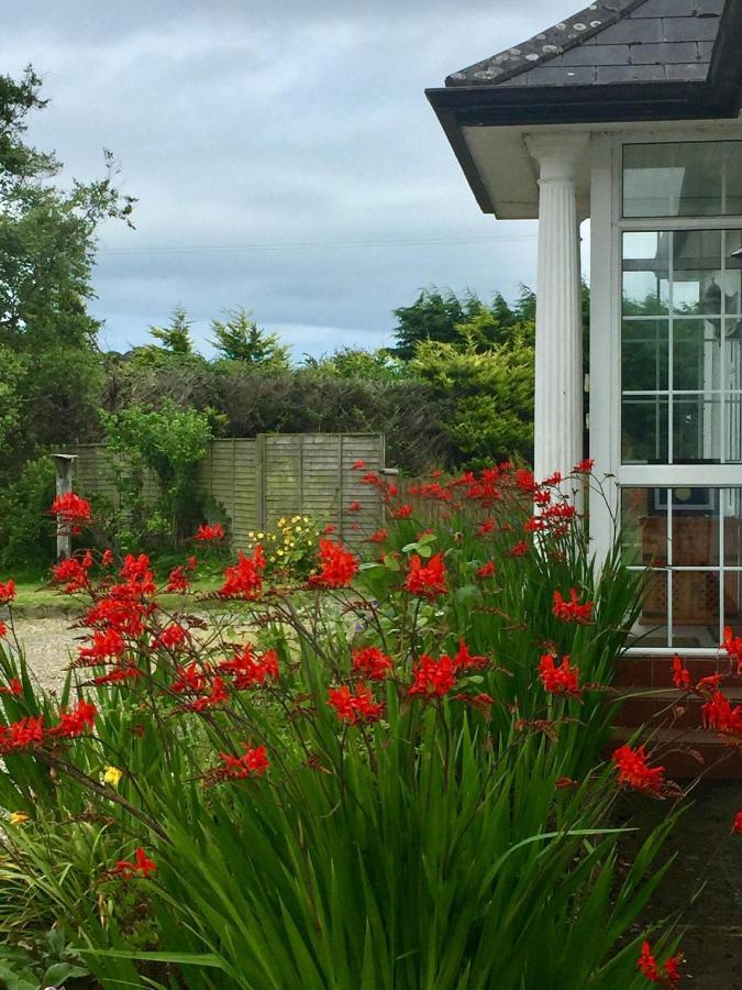 Padua Guest Accommodation Rosslare Rosslare Harbour Esterno foto