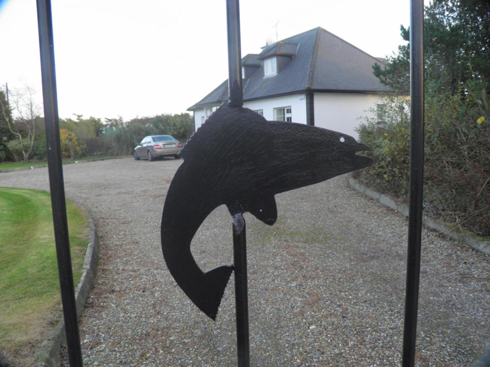 Padua Guest Accommodation Rosslare Rosslare Harbour Esterno foto
